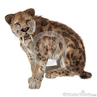 Big Cat Smilodon Stock Photo