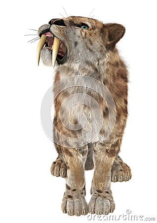 Big Cat Smilodon Stock Photo