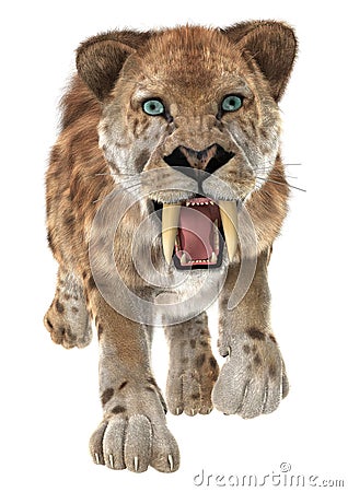 Big Cat Smilodon Stock Photo