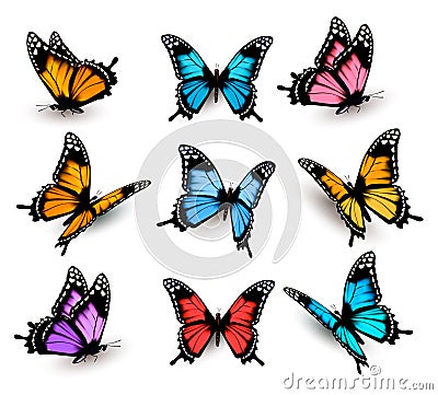 Big collection of colorful butterflies. Vector Illustration