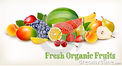 Big collection of different fresh fruit. Vector Illustration