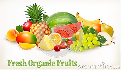 Big collection of different fresh fruit. Vector Illustration