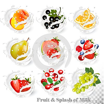 Big collection of fruit in a milk splash. Peach, orange, pear, Vector Illustration