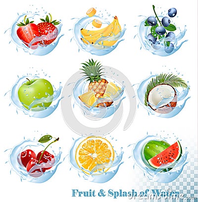 Big collection of fruit in a water splash icons Vector Illustration