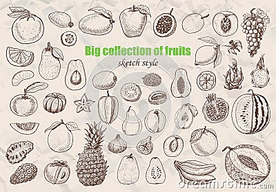 Big collection of fruits in sketch style. Vector Illustration