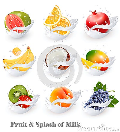 Big collection icons of fruit in a milk splash. Vector Illustration