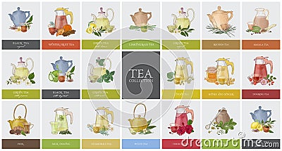 Big collection of labels or tags with various types of tea - black, green, rooibos, masala, mate, puer. Set of hand Vector Illustration