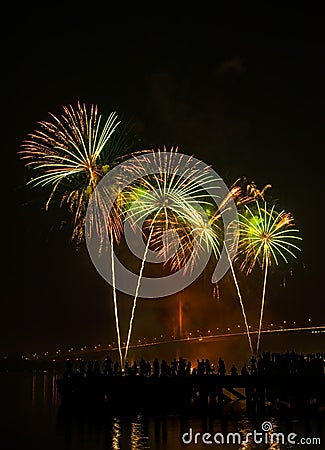 Big and colorful firework explode in dark sky in celebration time Stock Photo