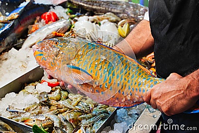 Big colorful fish parrotfish on ice in market Stock Photo