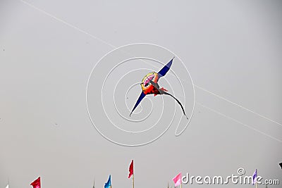 Big and different type of kite flying in sky Editorial Stock Photo