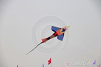 Big and different type of kite flying in sky Editorial Stock Photo