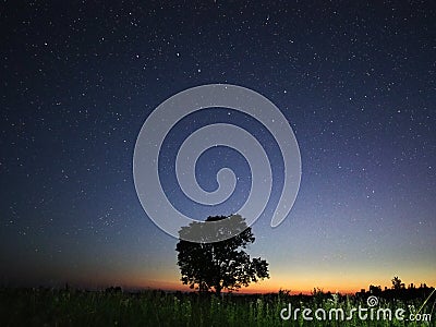 Night sky stars big dipper constellation observing Stock Photo