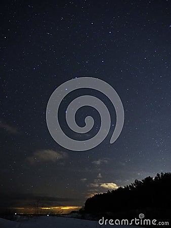 Big dipper stars on night sky and forest on Baltic sea coast Stock Photo