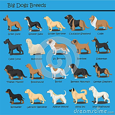 Big Dog Breeds Dog cute Cartoon Design Vector puppy dog Cartoons Design Vector Illustration