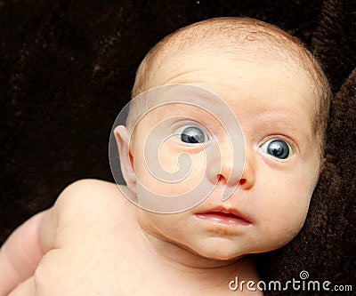 Big eyed baby looking out at the world Stock Photo