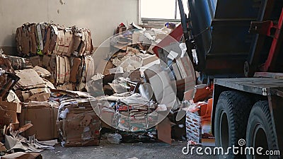carboard