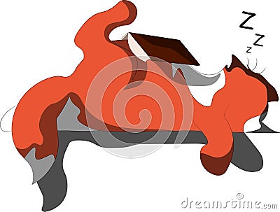 Big fat cat is reading a book, tired, sleeping on the table. Lazy student Stock Photo