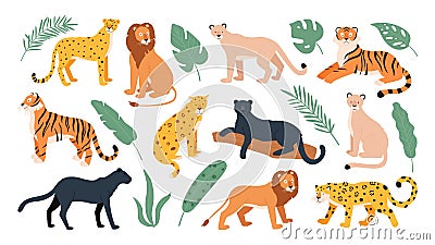 Big feline family animals, tiger, lion, cheetah and leopard. Wild cats from savanna and tropical forest. Jaguar and Vector Illustration