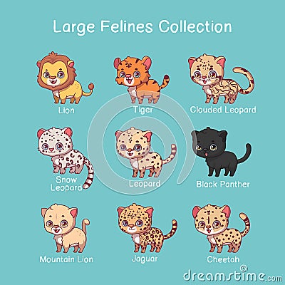 Big feline illustrations with name text Vector Illustration