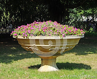 A big Flowerpot with flowers Stock Photo