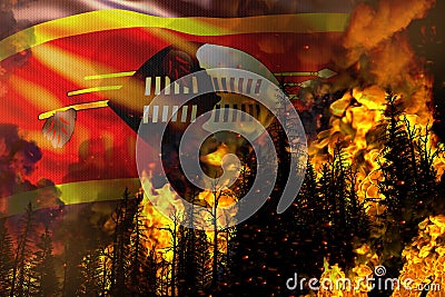 Big forest fire fight concept, natural disaster - flaming fire in the trees on Swaziland flag background - 3D illustration of Cartoon Illustration