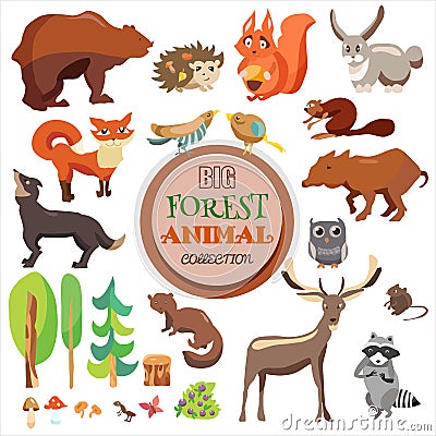 Big Forest Funny Animals Set. Vector Collection, On White Background, Fox, Squirrel, Bear, Wolf and Others, Vector Illustration