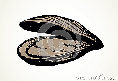 Oyster. Vector drawing Vector Illustration