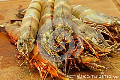 Big fresh tiger prawns, king prawns Stock Photo