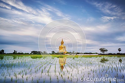 Big gold buddha statue wat muang Stock Photo