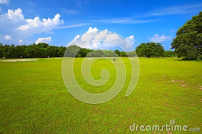 Big golf field Stock Photo