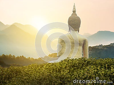 Big great powerful Buddha statue in gold color in the park Stock Photo