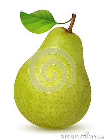 Big green pear with leaf Vector Illustration