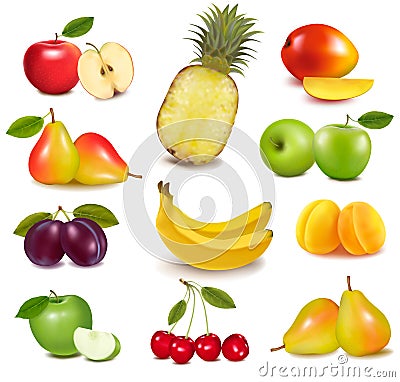 Big group of different fruit. Vector Illustration