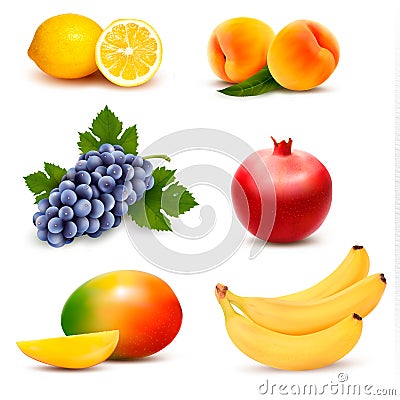 Big group of different fruit. Vector Illustration