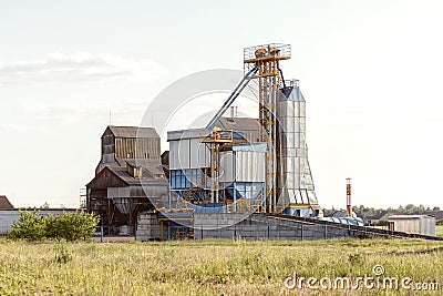 Big group of grain dryers complex for drying wheat. Modern grain silo. Stock Photo