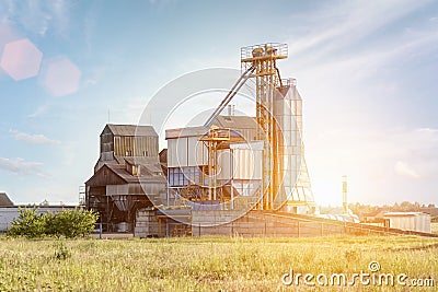 Big group of grain dryers complex for drying wheat. Modern grain silo Stock Photo