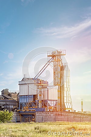 Big group of grain dryers complex for drying wheat. Modern grain silo Stock Photo