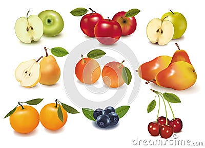 Big group of ripe fruit. Vector Illustration
