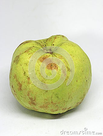 a big guava green Stock Photo