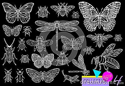 Big hand drawn line set of insects bugs, beetles, honey bees, butterfly moth, bumblebee, wasp, dragonfly, grasshopper. Vector Illustration