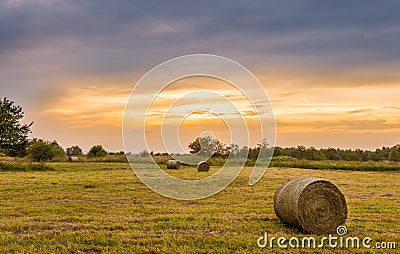 Big hay bale rolls in a lush green field Stock Photo