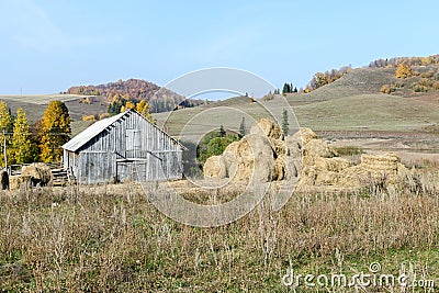 Big haystack near an old wooden shed against hills and the wood Stock Photo