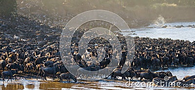 Big herd of wildebeest is about Mara River. Great Migration. Kenya. Tanzania. Masai Mara National Park. Cartoon Illustration