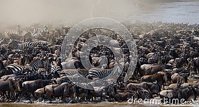 Big herd of wildebeest is about Mara River. Great Migration. Kenya. Tanzania. Masai Mara National Park. Cartoon Illustration