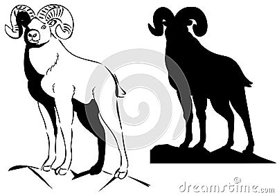 Big horn sheep Vector Illustration