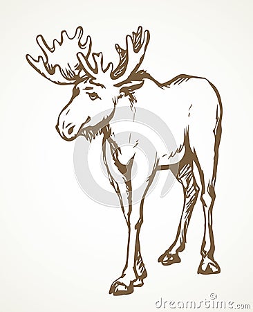 Big horned elk. Vector drawing Vector Illustration
