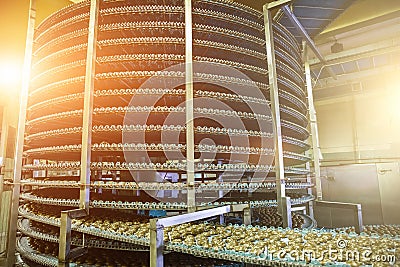 Big industrial automated round conveyor line or belt machine in bakery or confectionery food factory, cookies and cakes production Stock Photo