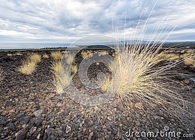 Big island hawaii lava and sea Stock Photo