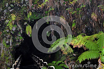 Big Island Thurston Lava Tube Stock Photo