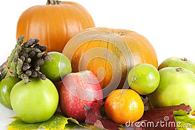 Medium isolated orange pumpkins Stock Photo